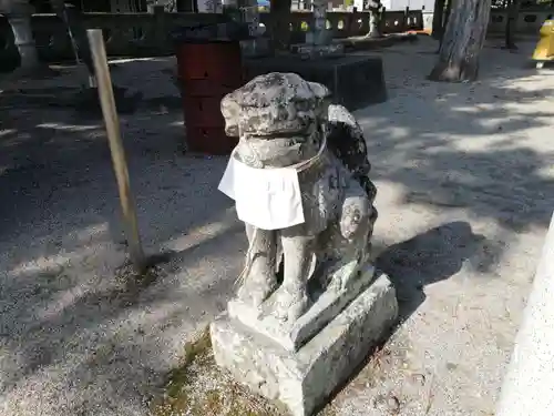 住吉神社の狛犬