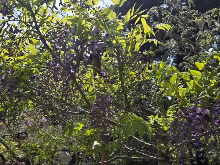 歌泉堂(春日大社神苑萬葉植物園内鎮座)(奈良県)