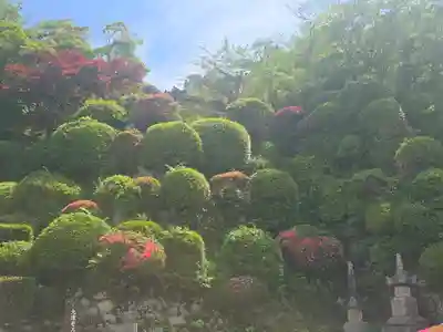 園城寺(三井寺)(滋賀県)