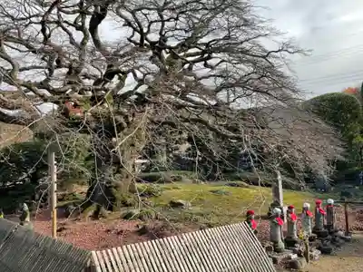 西善寺のその他建物
