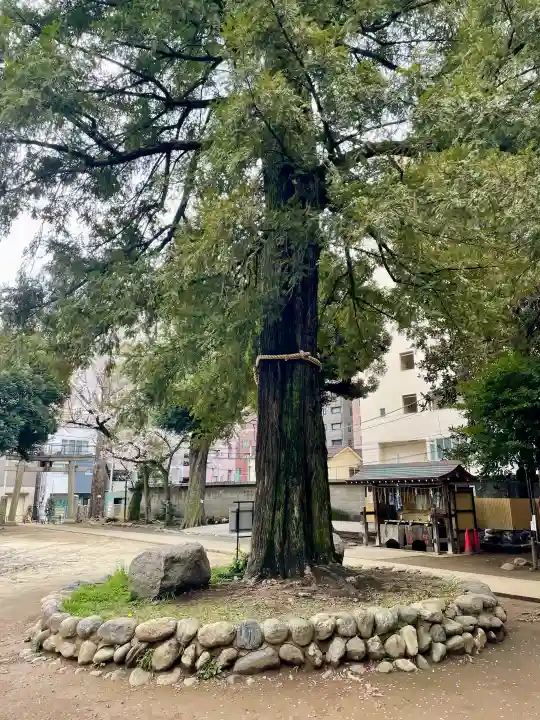 駒込富士神社の{uncategorized: "未分類", other: "その他", undefined: "問題あり", building: "その他建物", grave: "お墓", sacred_gate: "鳥居", guardian: "狛犬", statue: "像", buddha: "仏像", history: "歴史", nature: "自然", garden: "庭園", animal: "動物", pagoda: "塔", temizu: "手水舎", mountain_gate: "山門・神門", sanctuary: "本殿・本堂", subordinate: "末社・摂社", art: "芸術", scenery: "景色", jizo: "地蔵", ema: "絵馬", goshuin: "御朱印", omikuji: "おみくじ", items: "授与品その他", amulet: "お守り", goshuincho: "御朱印帳", eats: "食事", festival: "お祭り", votive_dance: "神楽", shichigosan: "七五三参", wedding: "結婚式", experience: "体験その他", initially: "初詣", around: "周辺", anti_infection: "感染症対策"}