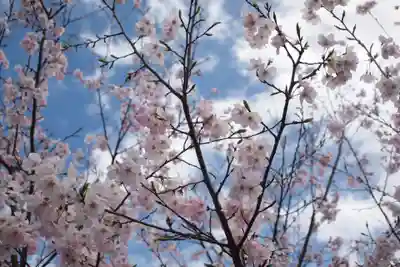 願成寺(山梨県)