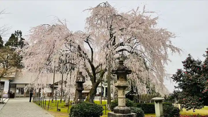 足羽神社(福井県)