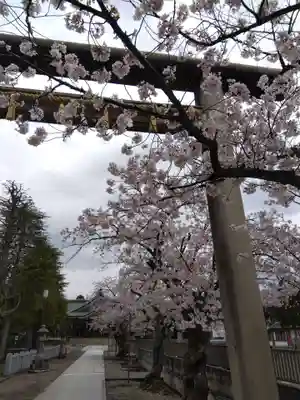 神明神社(福井県)