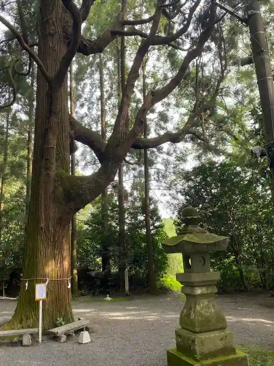 東霧島神社(宮崎県)