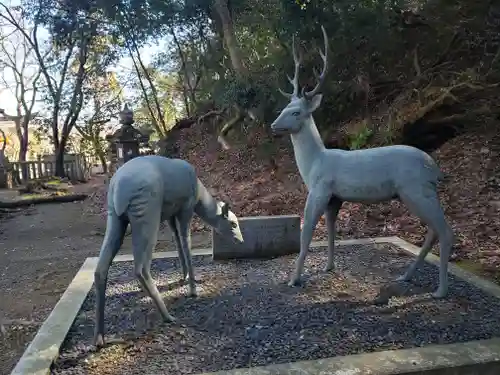 朝日山神社の狛犬