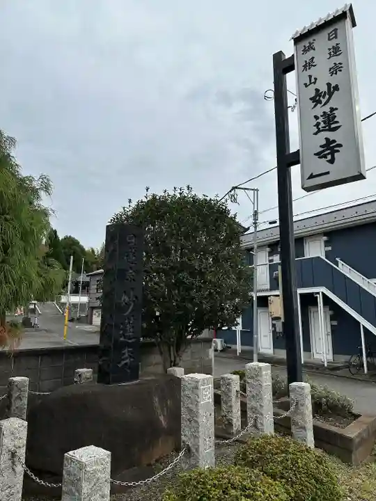 妙蓮寺(神奈川県)