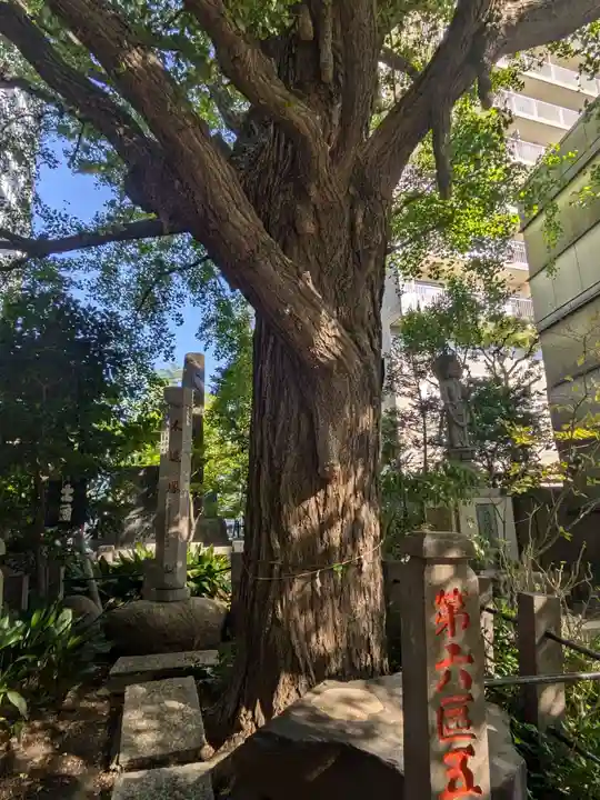 回向院(東京都)