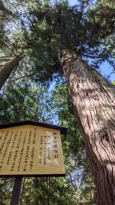 明建神社(岐阜県)