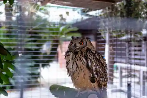 宮地嶽神社(福岡県)