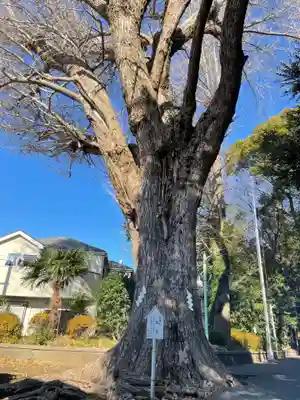 五社神社(神奈川県)