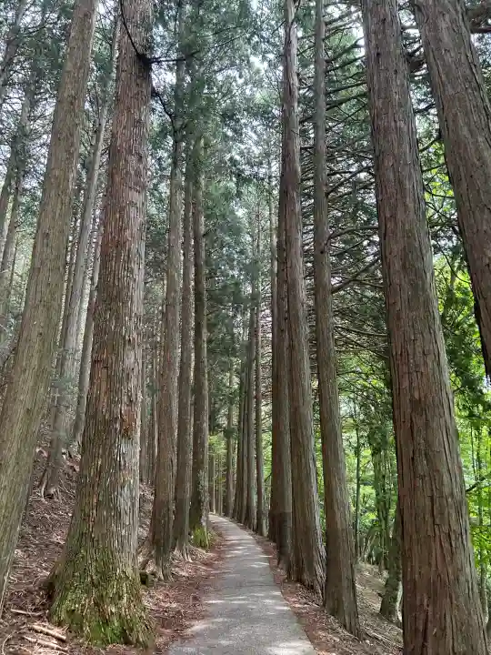 三峯神社(埼玉県)