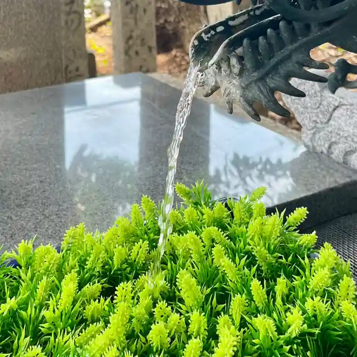 津田八幡神社(徳島県)