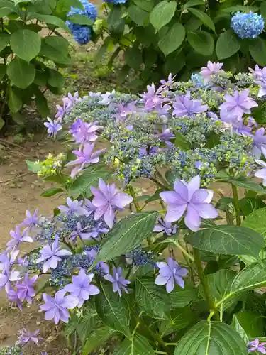 曹源寺(群馬県)