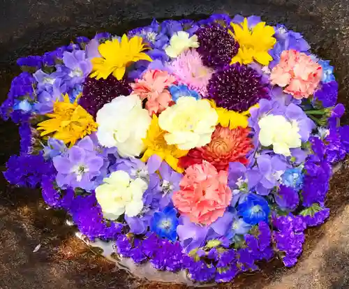 真言宗　善通寺派　薬王寺(香川県)