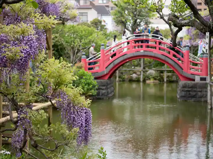 亀戸天神社(東京都)