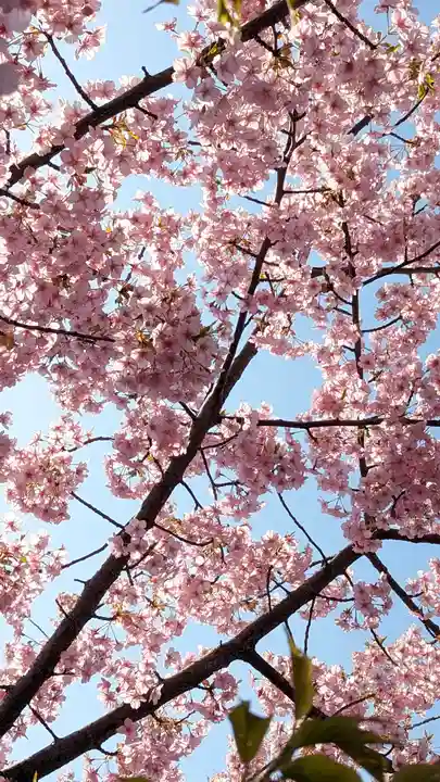 後白河院御聖蹟 法住寺(京都府)
