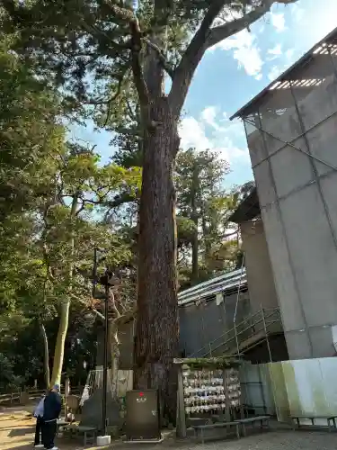 鹿島神宮(茨城県)