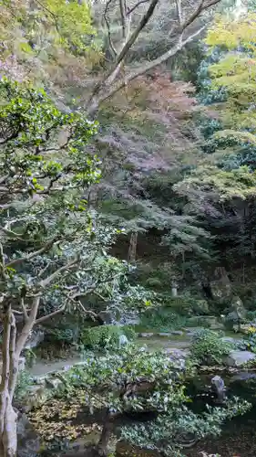 法然院(京都府)