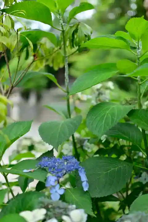 宮山神社(神奈川県)