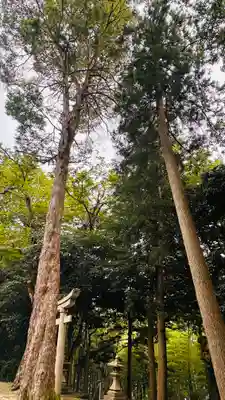 日吉神社(福井県)