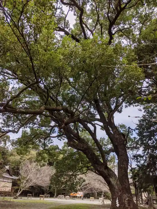曽許乃御立神社の自然