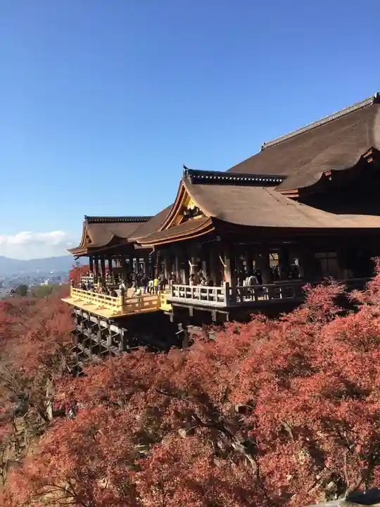清水寺の本殿・本堂