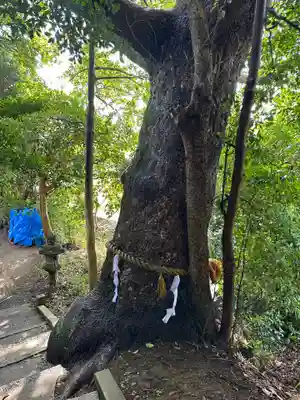 阿奈志神社(愛知県)