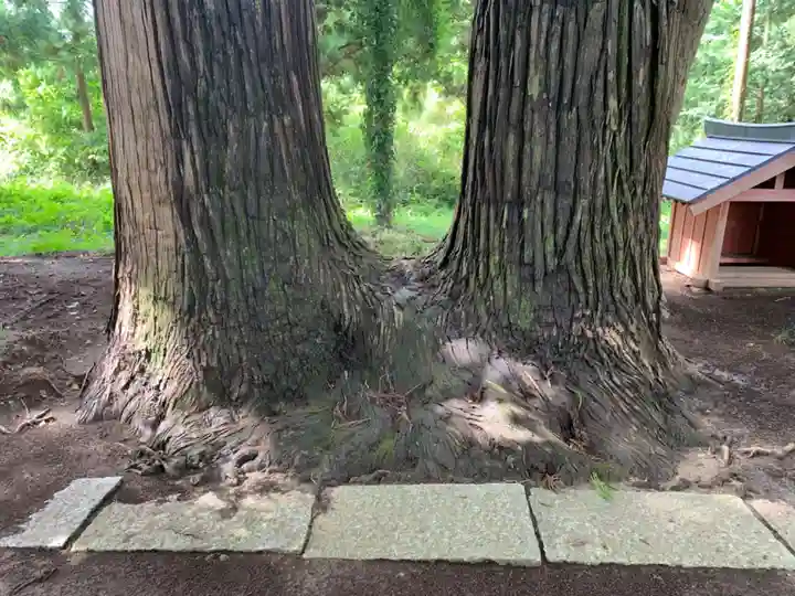 八幡神社(千葉県)