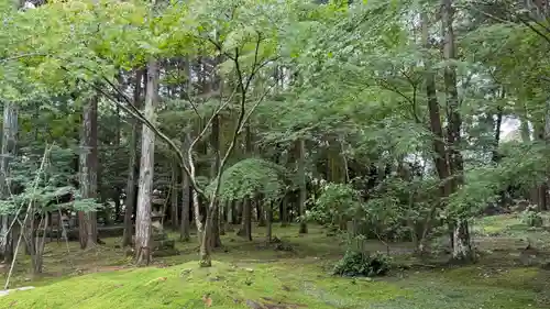 竹林寺(高知県)