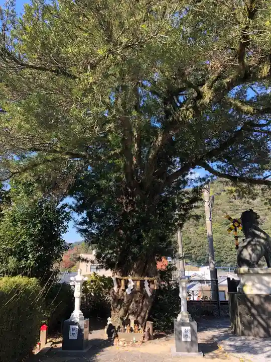 陶山神社の自然