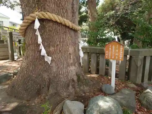 平塚三嶋神社(神奈川県)