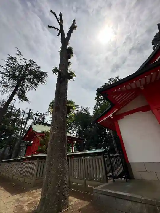 小野神社(東京都)