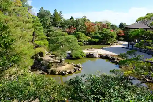 仁和寺の庭園