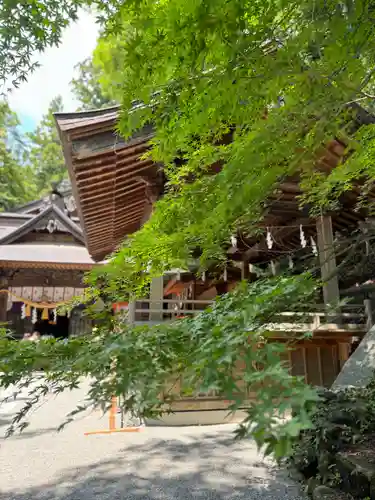 新倉富士浅間神社(山梨県)