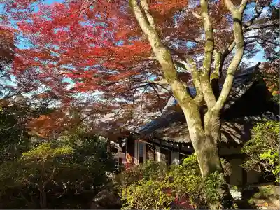 霊鑑寺門跡(京都府)