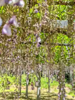 志那神社(滋賀県)