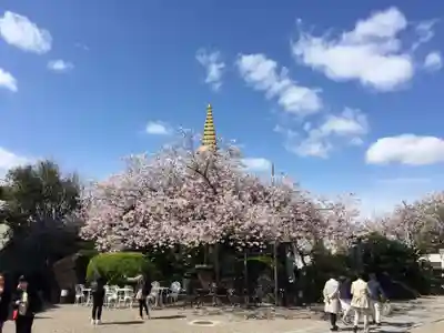 一心寺のその他建物