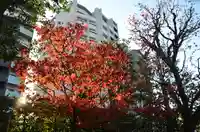 厳嶋神社の自然