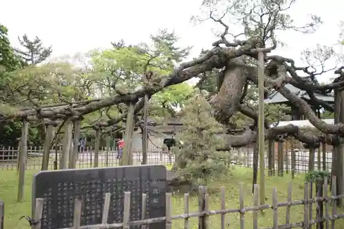 大光院 新田寺の自然