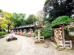 千葉神社(千葉県)