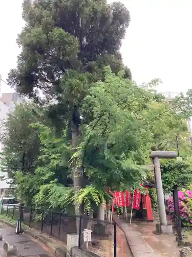 松先稲荷神社(千葉県)