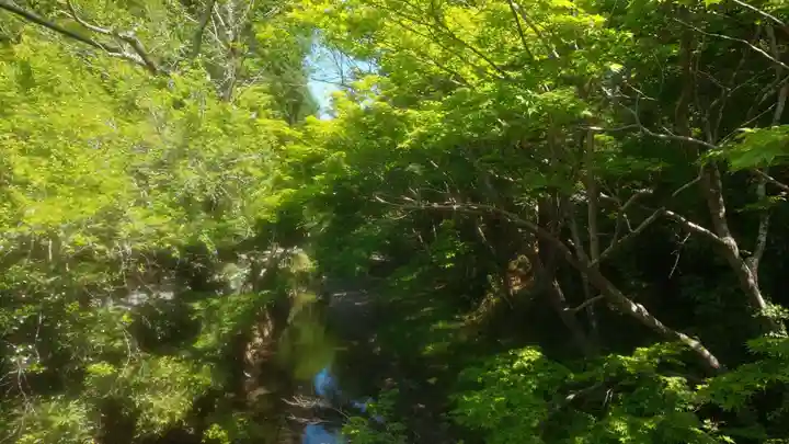 小國神社(静岡県)
