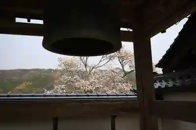 勝定寺のその他建物