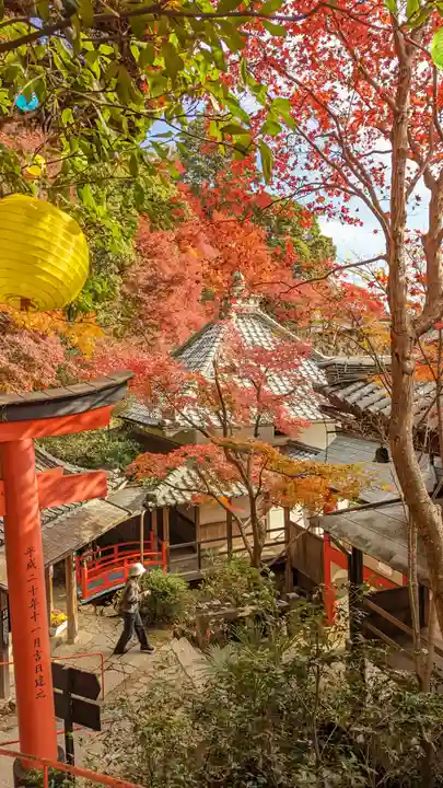 柳谷観音 楊谷寺(京都府)