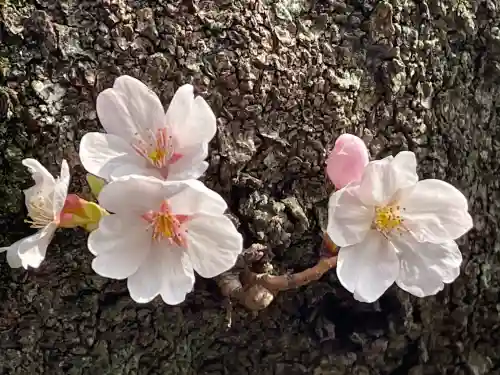 弘明寺の{uncategorized: "未分類", other: "その他", undefined: "問題あり", building: "その他建物", grave: "お墓", sacred_gate: "鳥居", guardian: "狛犬", statue: "像", buddha: "仏像", history: "歴史", nature: "自然", garden: "庭園", animal: "動物", pagoda: "塔", temizu: "手水舎", mountain_gate: "山門・神門", sanctuary: "本殿・本堂", subordinate: "末社・摂社", art: "芸術", scenery: "景色", jizo: "地蔵", ema: "絵馬", goshuin: "御朱印", omikuji: "おみくじ", items: "授与品その他", amulet: "お守り", goshuincho: "御朱印帳", eats: "食事", festival: "お祭り", votive_dance: "神楽", shichigosan: "七五三参", wedding: "結婚式", experience: "体験その他", initially: "初詣", around: "周辺", anti_infection: "感染症対策"}