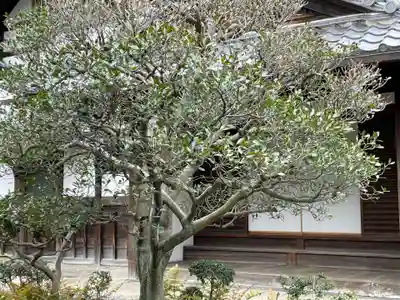 新德禅寺 (新徳寺)(京都府)