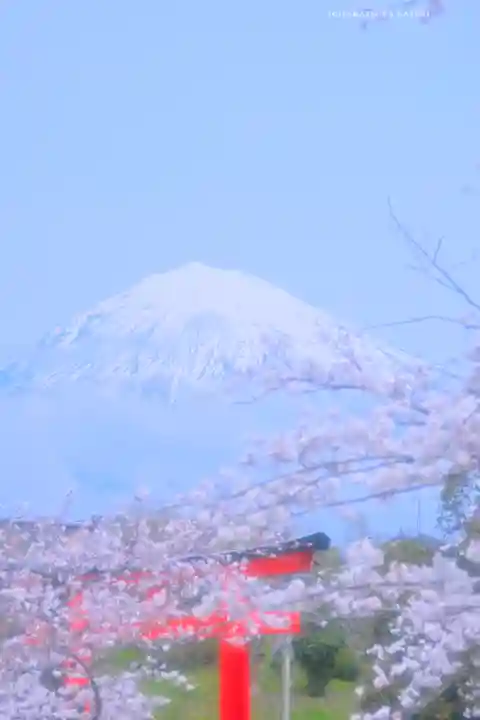 富士山本宮浅間大社(静岡県)