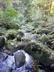 大澤瀧神社の自然