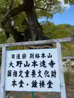 本遠寺のその他建物